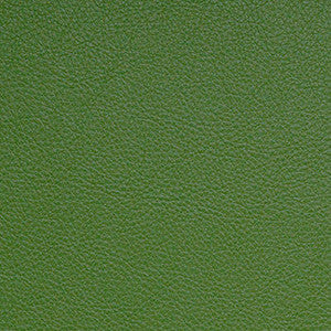 Classic Fern by Nassimi Designer Fabric