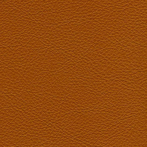 Classic Mustang by Nassimi Designer Fabric