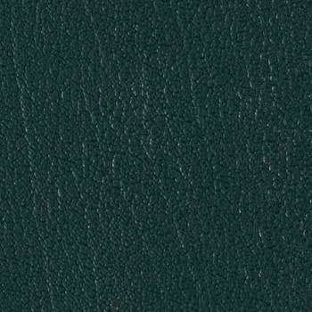 Colorguard Hunter Green B363551 by Omnova Designer Fabric our website for purchase 100% Vinyl USA or Asia Water-based cleaning agents and foam may be used for cleaning. This fabric may also be cleaned with mild, water-free solvents. Cleaning by a professional cleaning service is recommended. Horizontal: - and Vertical: - 54" - Swanky Fabrics -