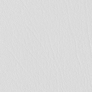 Colorguard Snow White by Omnova Designer Fabric