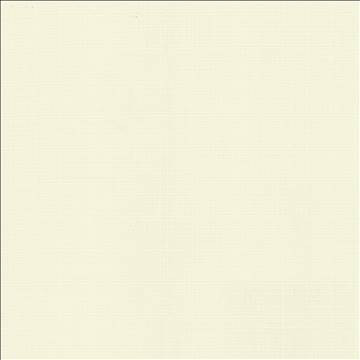 Copenhagen Salt by Kasmir Designer Fabric