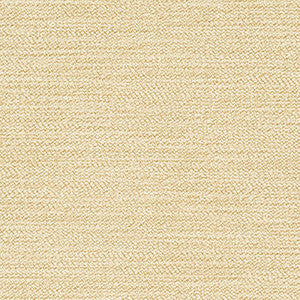 Cove Canvas by Crypton Designer Fabric