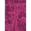 Color Box Velvet - Poppy F121/5027.CS.0 by Cole & Son Designer Fabric