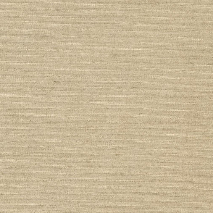 D1007 Linen by Charlotte Designer Fabric Prints & Wovens 100% Solution Dyed Woven Acrylic Made In USA Exceeds 60,000 Wyzenbeek Rubs (Heavy Duty) No Repeat 54 Inches - Swanky Fabrics -