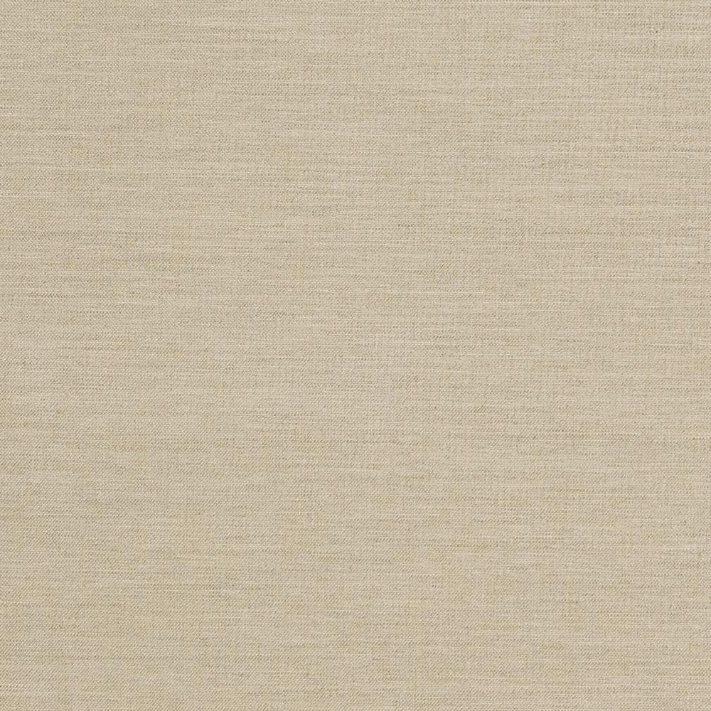 D1008 Sandstone by Charlotte Designer Fabric Prints & Wovens 100% Solution Dyed Woven Acrylic Made In USA Exceeds 60,000 Wyzenbeek Rubs (Heavy Duty) No Repeat 54 Inches - Swanky Fabrics -