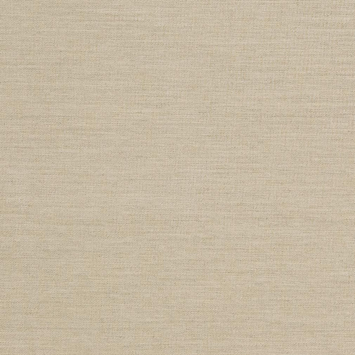 D1008 Sandstone by Charlotte Designer Fabric Prints & Wovens 100% Solution Dyed Woven Acrylic Made In USA Exceeds 60,000 Wyzenbeek Rubs (Heavy Duty) No Repeat 54 Inches - Swanky Fabrics -