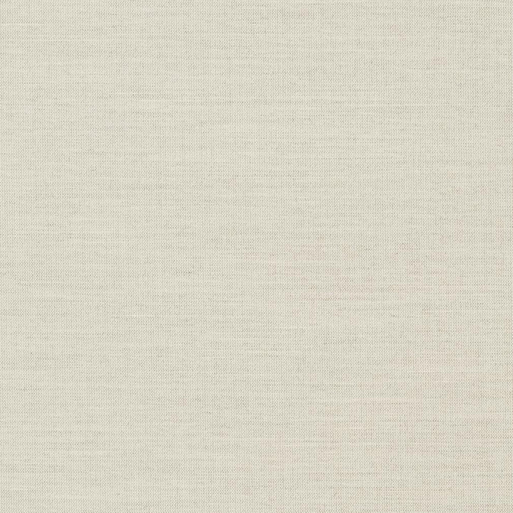 D1010 Stone by Charlotte Designer Fabric Prints & Wovens 100% Solution Dyed Woven Acrylic Made In USA Exceeds 60,000 Wyzenbeek Rubs (Heavy Duty) No Repeat 54 Inches - Swanky Fabrics -