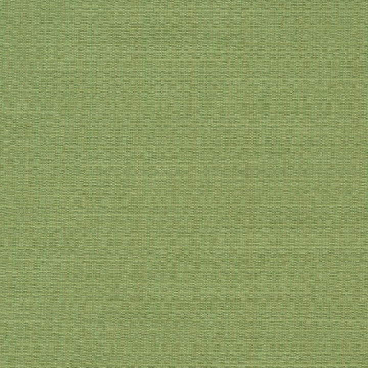 D1015 Basil by Charlotte Designer Fabric Prints & Wovens 100% Solution Dyed Woven Acrylic Made In USA Exceeds 60,000 Wyzenbeek Rubs (Heavy Duty) </p><p>Repeat: 54 Inches - Swanky Fabrics -
