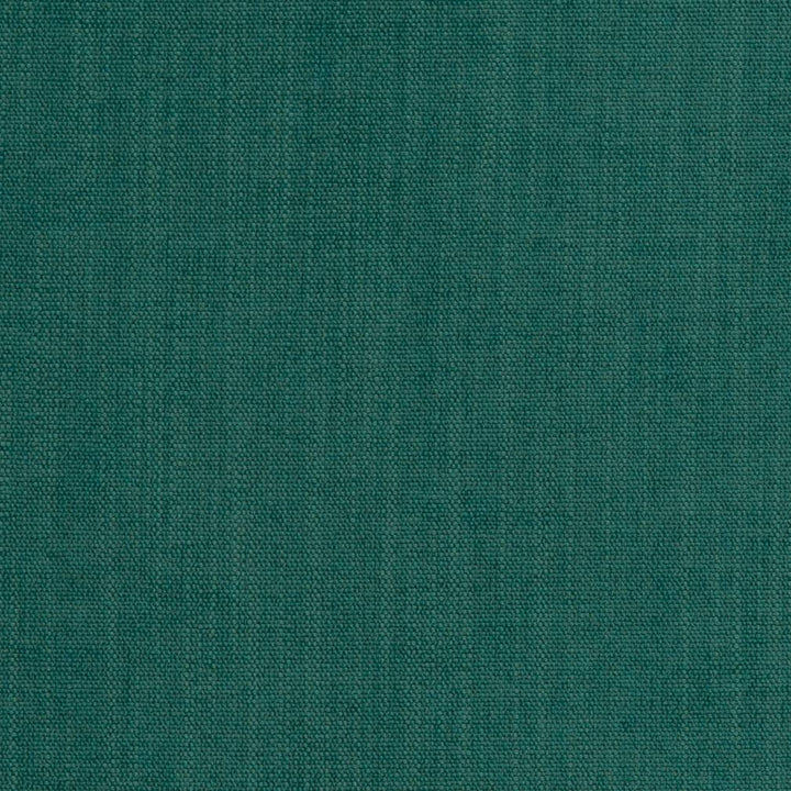 D1077 Jade by Charlotte Designer Fabric Crypton Colors 100% Woven Polyester Asia Exceeds 100,000 Wyzenbeek Rubs (Heavy Duty) </p><p>Repeat: 54 Inches - Swanky Fabrics -