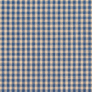 D116 Wedgewood Gingham by Charlotte Designer Fabric