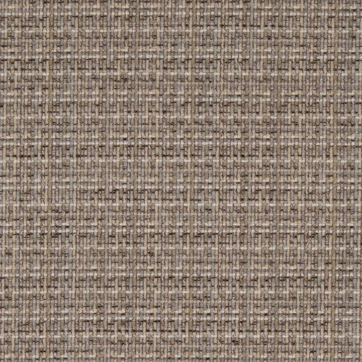 D1175 Driftwood by Charlotte Designer Fabric Crypton Neutrals 100% Woven Polyester China Exceeds 100,000 Wyzenbeek Rubs (Heavy Duty) No Repeat 54 Inches - Swanky Fabrics -