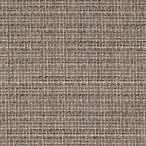 D1175 Driftwood by Charlotte Designer Fabric