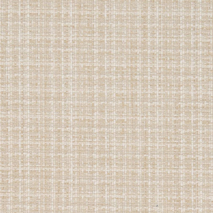 D1178 Champagne by Charlotte Designer Fabric Crypton Neutrals 100% Woven Polyester China Exceeds 100,000 Wyzenbeek Rubs (Heavy Duty) No Repeat 54 Inches - Swanky Fabrics -