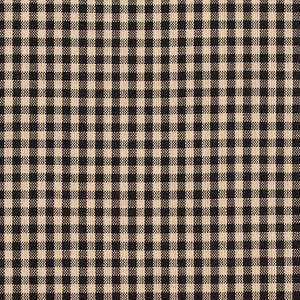 D117 Onyx Gingham by Charlotte Designer Fabric