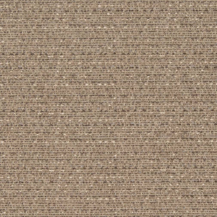 D1183 Sandstone by Charlotte Designer Fabric Crypton Neutrals 100% Woven Polyester China Exceeds 100,000 Wyzenbeek Rubs (Heavy Duty) No Repeat 54 Inches - Swanky Fabrics -