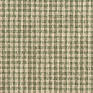 D119 Juniper Gingham by Charlotte Designer Fabric