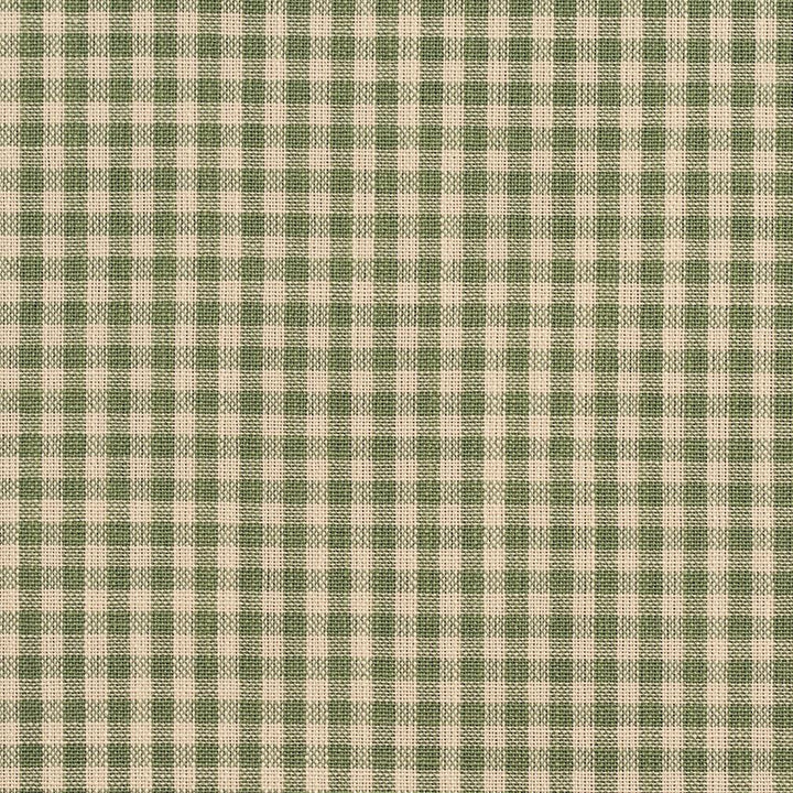 D119 Juniper Gingham by Charlotte Designer Fabric Clubhouse Collection 100% Woven Polyester Asia Exceeds 120,000 Wyzenbeek Rubs (Heavy Duty) Horizontal: .5" x Vertical: .5" 54 Inches - Swanky Fabrics -