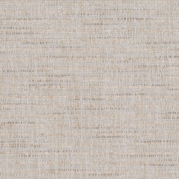 D1201 Beach by Charlotte Designer Fabric Crypton Neutrals 100% Woven Polyester China Exceeds 100,000 Wyzenbeek Rubs (Heavy Duty) No Repeat 54 Inches - Swanky Fabrics -