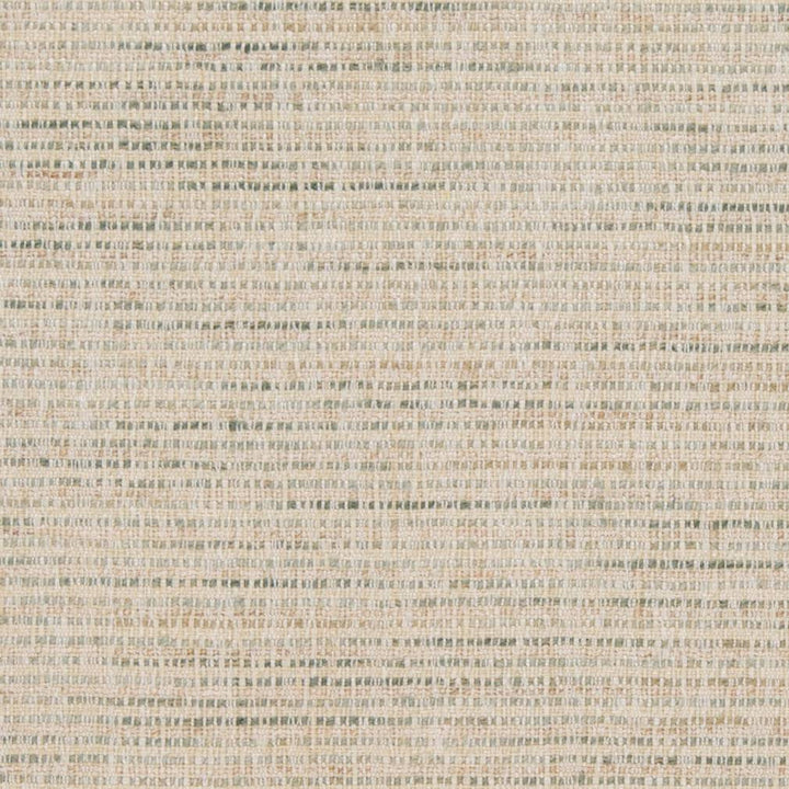 D1202 Herbal by Charlotte Designer Fabric Crypton Colors 100% Woven Polyester China Exceeds 100,000 Wyzenbeek Rubs (Heavy Duty) No Repeat 54 Inches - Swanky Fabrics -