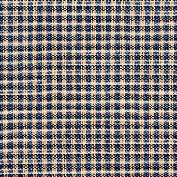 D120 Indigo Gingham by Charlotte Designer Fabric Clubhouse Collection 100% Woven Polyester Asia Exceeds 120,000 Wyzenbeek Rubs (Heavy Duty) Horizontal: .5" x Vertical: .5" 54 Inches - Swanky Fabrics -