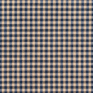 D120 Indigo Gingham by Charlotte Designer Fabric