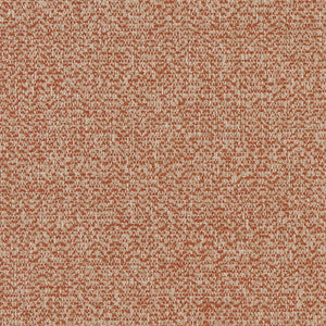 D1248 Spice Texture by Charlotte Designer Fabric