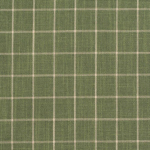 D126 Juniper Checkerboard by Charlotte Designer Fabric