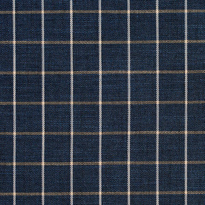 D127 Indigo Checkerboard by Charlotte Designer Fabric