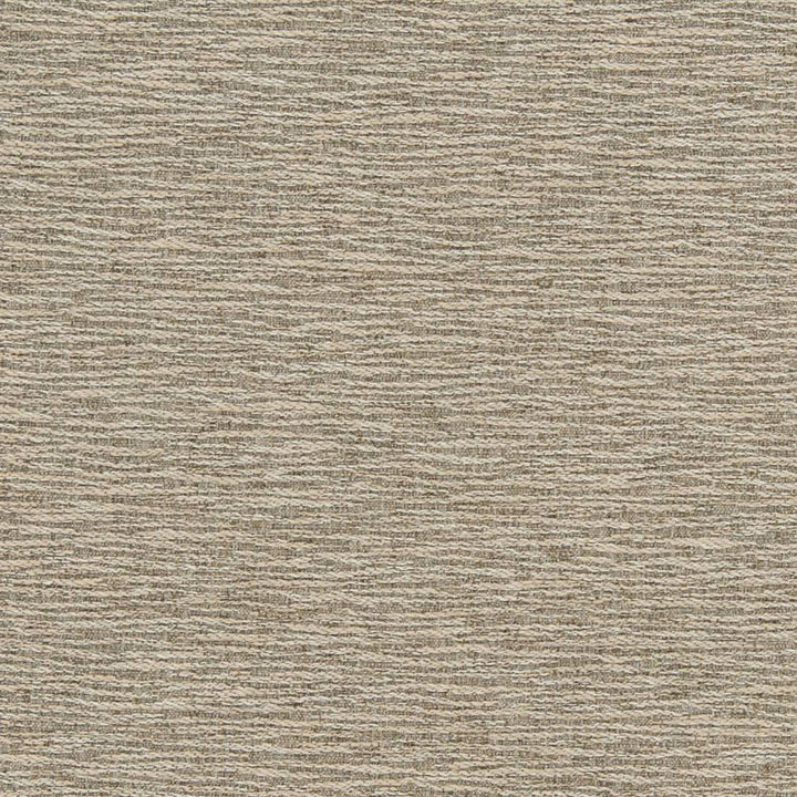 D1357 Mineral by Charlotte Designer Fabric Neutral Textures 77% Polyester, 23% Cotton Taiwan Exceeds 60,000 Wyzenbeek Rubs (Heavy Duty) No Repeat 54 Inches - Swanky Fabrics -