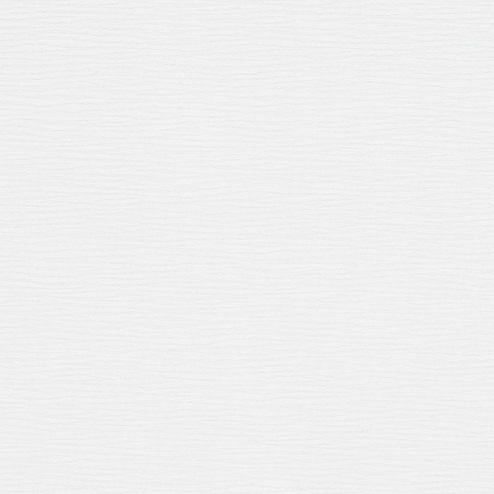 D1358 Winter White by Charlotte Designer Fabric Neutral Textures 77% Polyester, 23% Cotton Taiwan Exceeds 60,000 Wyzenbeek Rubs (Heavy Duty) No Repeat 54 Inches - Swanky Fabrics -