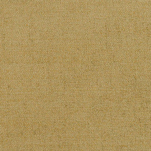 D1399 Keylime by Charlotte Designer Fabric