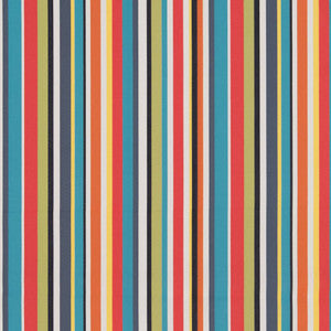 D1422 Fiesta Stripe by Charlotte Designer Fabric