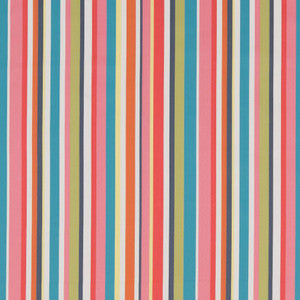 D1425 Festival Stripe by Charlotte Designer Fabric