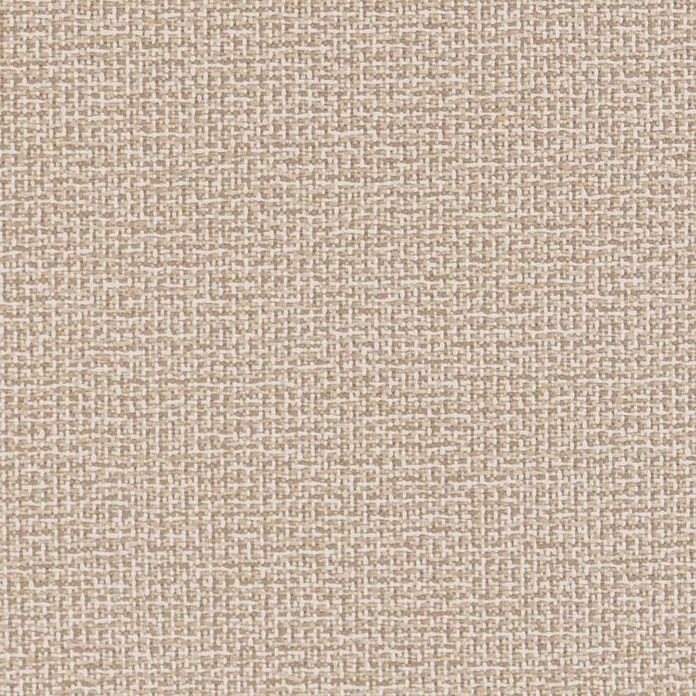 D1446 Sandstone Texture by Charlotte Designer Fabric Vibrant Wovens 100% Woven Polypropylene Europe Exceeds 100,000 Wyzenbeek Rubs (Heavy Duty) No Repeat 54 Inches - Swanky Fabrics -