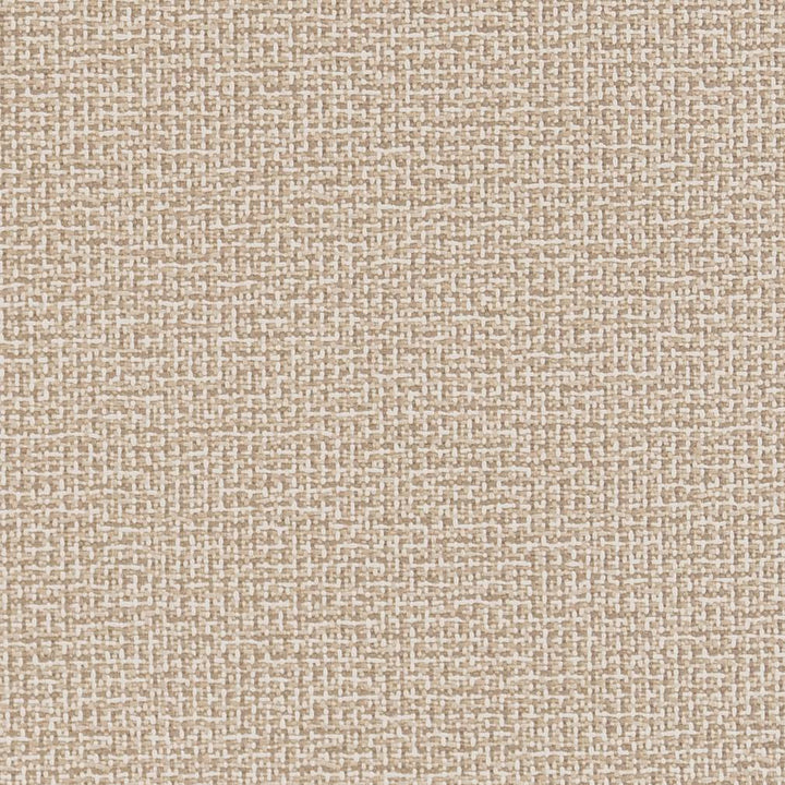 D1446 Sandstone Texture by Charlotte Designer Fabric Vibrant Wovens 100% Woven Polypropylene Europe Exceeds 100,000 Wyzenbeek Rubs (Heavy Duty) No Repeat 54 Inches - Swanky Fabrics -