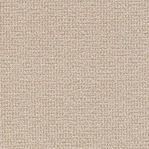 D1446 Sandstone Texture by Charlotte Designer Fabric