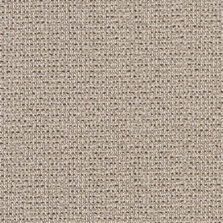 D1447 Ecru Texture by Charlotte Designer Fabric Vibrant Wovens 100% Woven Polypropylene Europe Exceeds 100,000 Wyzenbeek Rubs (Heavy Duty) No Repeat 54 Inches - Swanky Fabrics -