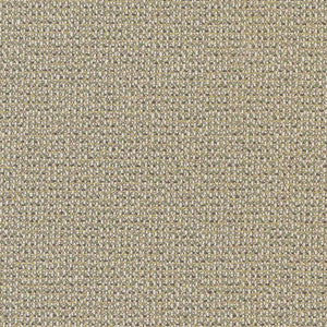 D1449 Lime Texture by Charlotte Designer Fabric
