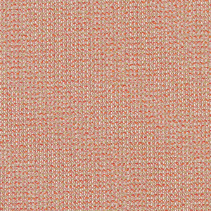 D1450 Punch Texture by Charlotte Designer Fabric