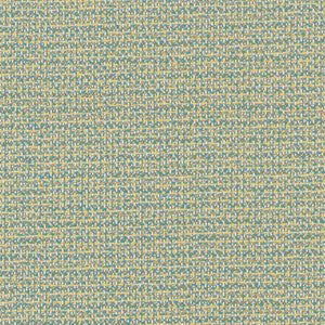 D1452 Caribe Texture by Charlotte Designer Fabric