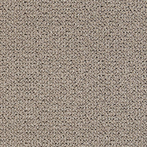 D1453 Granite Texture by Charlotte Designer Fabric