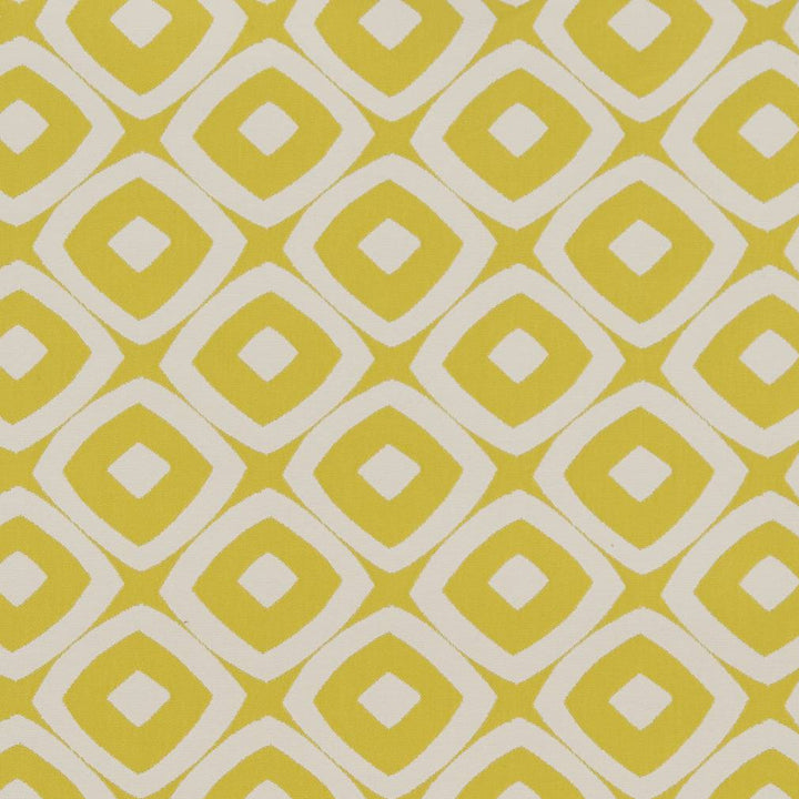 D1455 Lime Mayan by Charlotte Designer Fabric Vibrant Wovens 100% Polypropylene Europe Exceeds 100,000 Wyzenbeek Rubs (Heavy Duty) </p><p>Repeat: Horizontal: 4.5" x Vertical: 4" 54 Inches - Swanky Fabrics -
