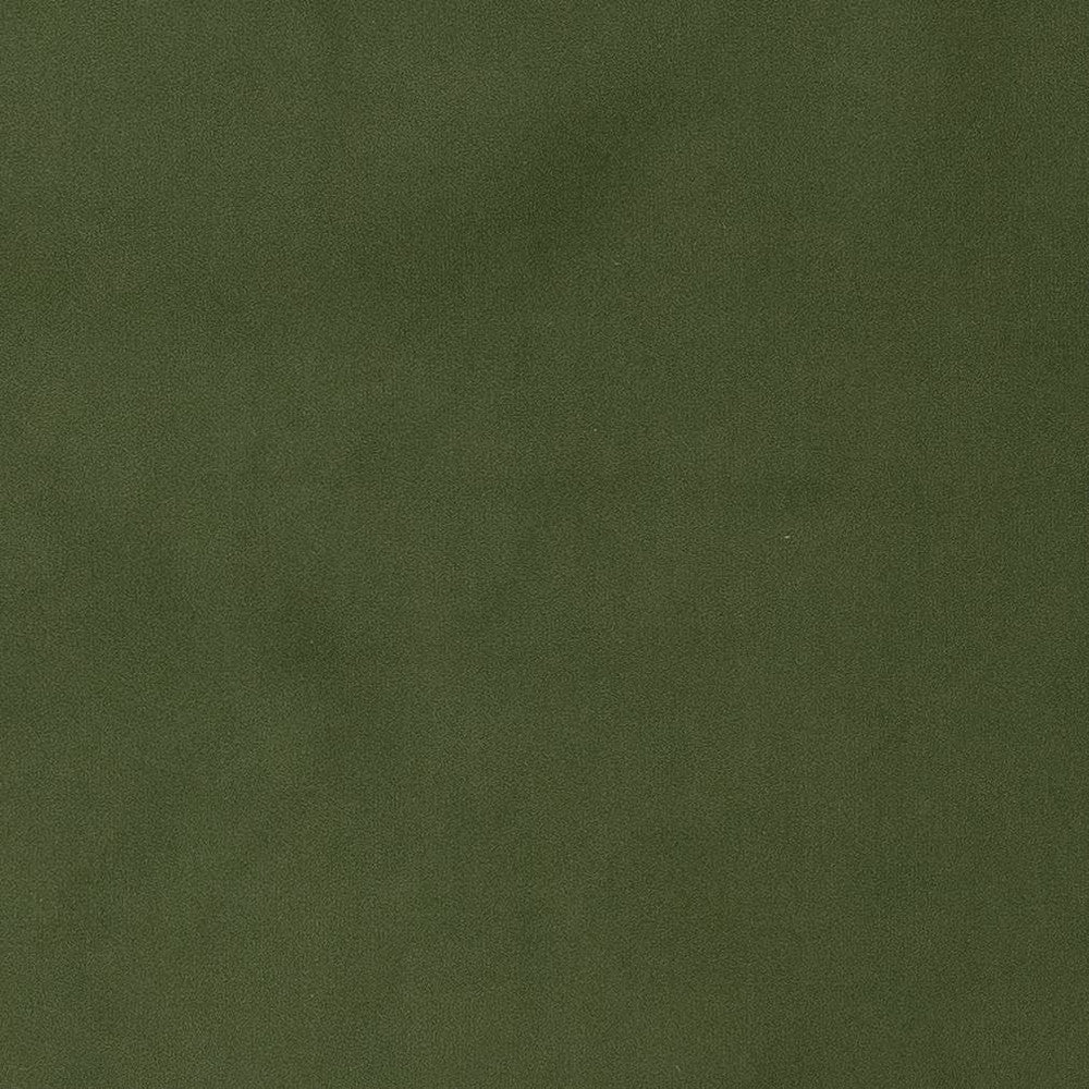 D1471 Jade by Charlotte Designer Fabric Eco Velvet 100% Polyester China Exceeds 200,000 Wyzenbeek Rubs (Heavy Duty) No Repeat 54 Inches - Swanky Fabrics -