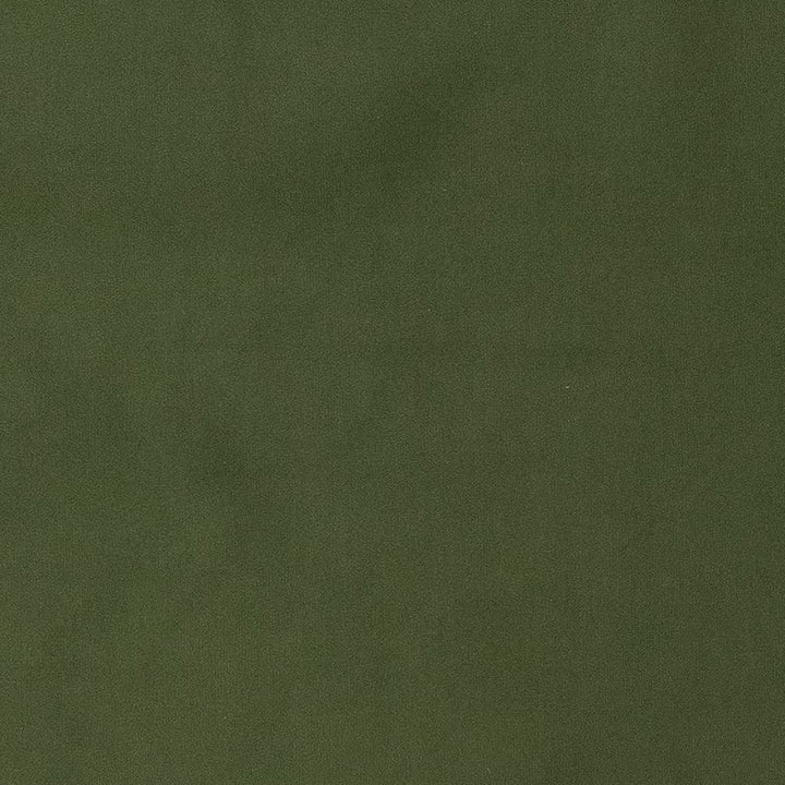 D1471 Jade by Charlotte Designer Fabric Eco Velvet 100% Polyester Asia Exceeds 200,000 Wyzenbeek Rubs (Heavy Duty) </p><p>Repeat: 54 Inches - Swanky Fabrics -