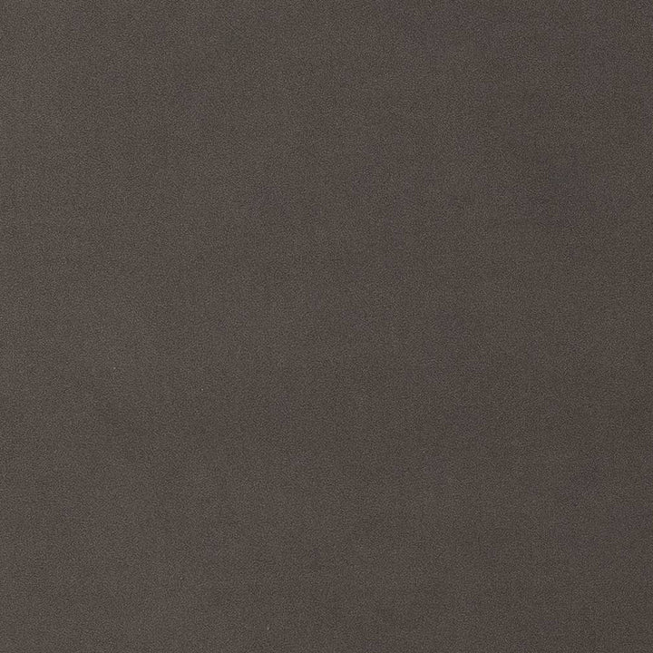 D1479 Charcoal by Charlotte Designer Fabric Eco Velvet 100% Polyester China Exceeds 200,000 Wyzenbeek Rubs (Heavy Duty) No Repeat 54 Inches - Swanky Fabrics -