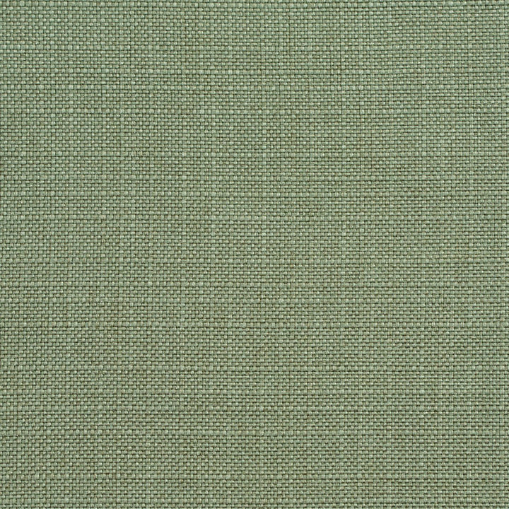 D147 Juniper by Charlotte Designer Fabric Clubhouse Collection 100% Woven Polyester Asia Exceeds 120,000 Wyzenbeek Rubs (Heavy Duty) No Repeat 54 Inches - Swanky Fabrics -