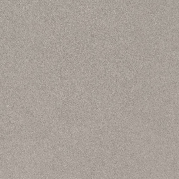 D1486 Platinum by Charlotte Designer Fabric Eco Velvet 100% Polyester China Exceeds 200,000 Wyzenbeek Rubs (Heavy Duty) No Repeat 54 Inches - Swanky Fabrics -