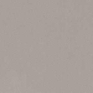 D1486 Platinum by Charlotte Designer Fabric