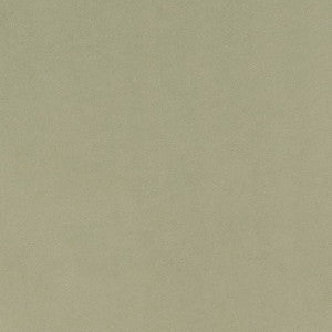 D1494 Mint by Charlotte Designer Fabric