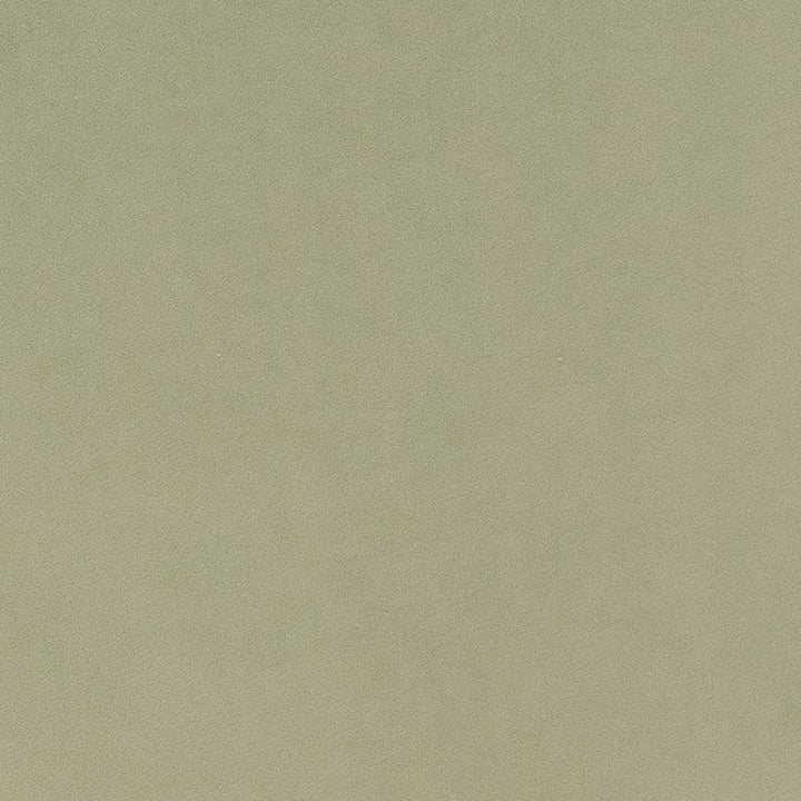 D1494 Mint by Charlotte Designer Fabric Eco Velvet 100% Polyester China Exceeds 200,000 Wyzenbeek Rubs (Heavy Duty) No Repeat 54 Inches - Swanky Fabrics -